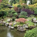 Suchitra Murali Instagram - Japanese’Zen’ garden..!!!