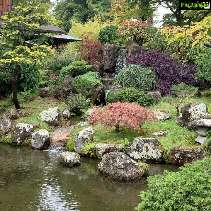 Suchitra Murali Instagram - Japanese’Zen’ garden..!!!