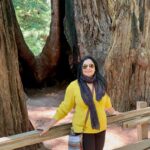 Suchitra Murali Instagram - Muir Woods California..🌲🌲🌳