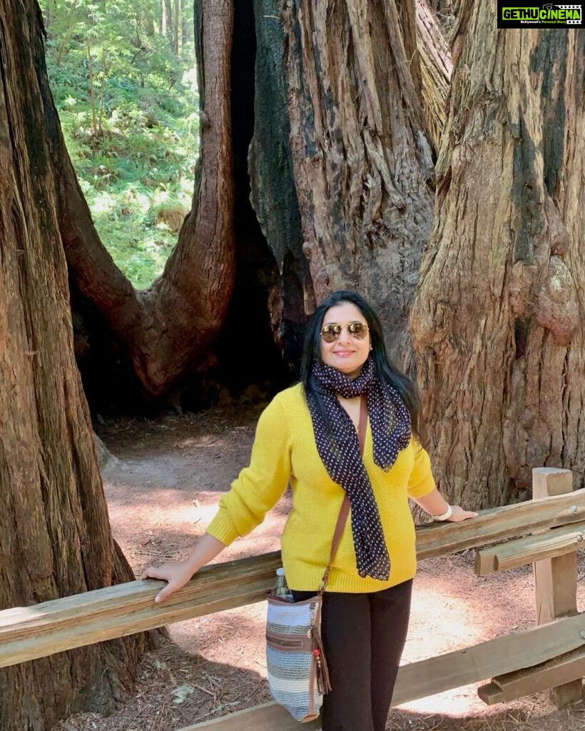 Suchitra Murali Instagram - Muir Woods California..🌲🌲🌳