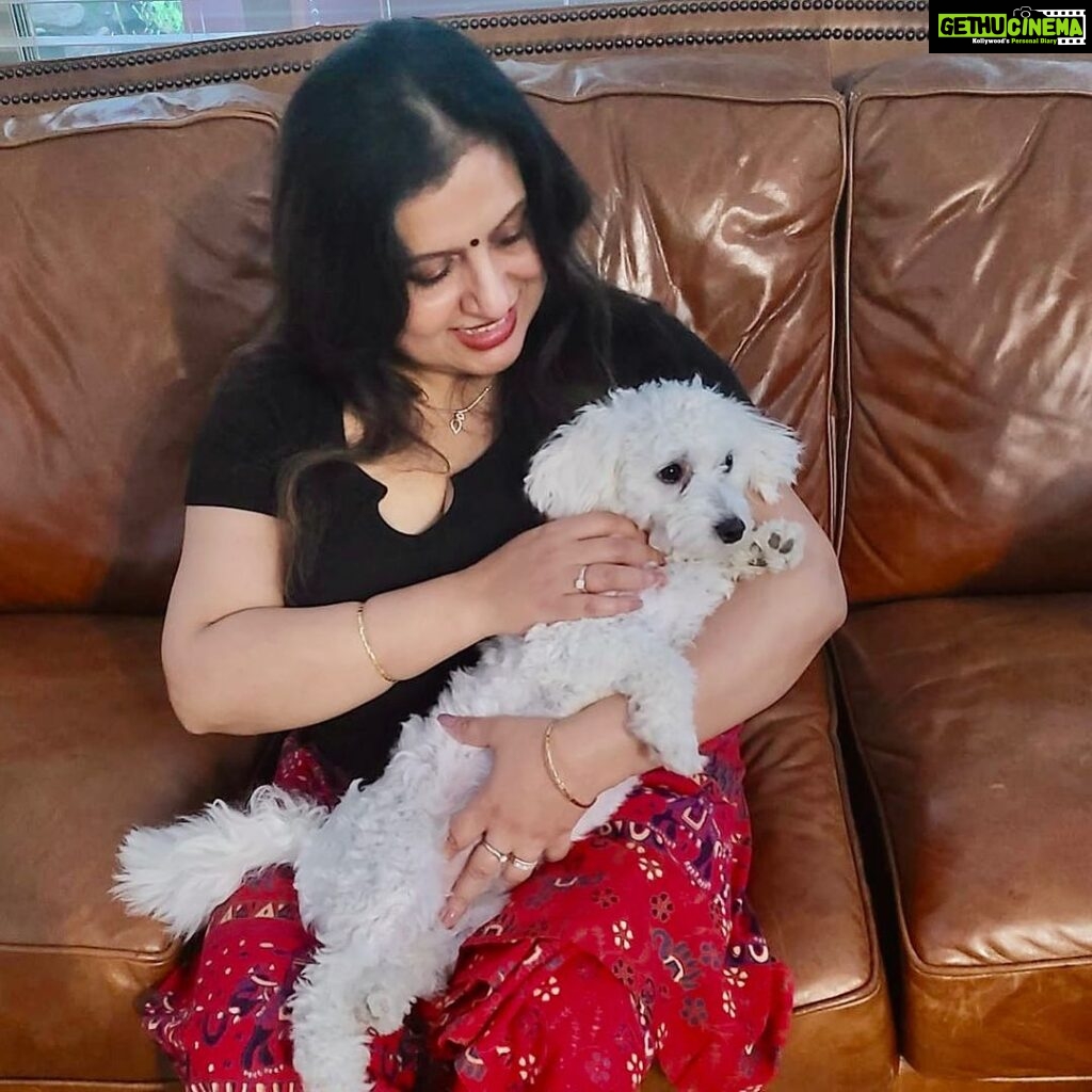 Suchitra Murali Instagram - This darling little puppy… Rosie…,,, got hit by a car …Thank heavens…she survived…🥰 poor baby got a fracture,,found a solace on some TLC😍My bestie Aathira’s Puppy..! Hope she feels better soon..!