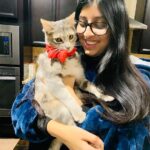 Suchitra Murali Instagram – Never a Cat person until this little one came to our life..🥰🥰🥰Ms Mia…!!!