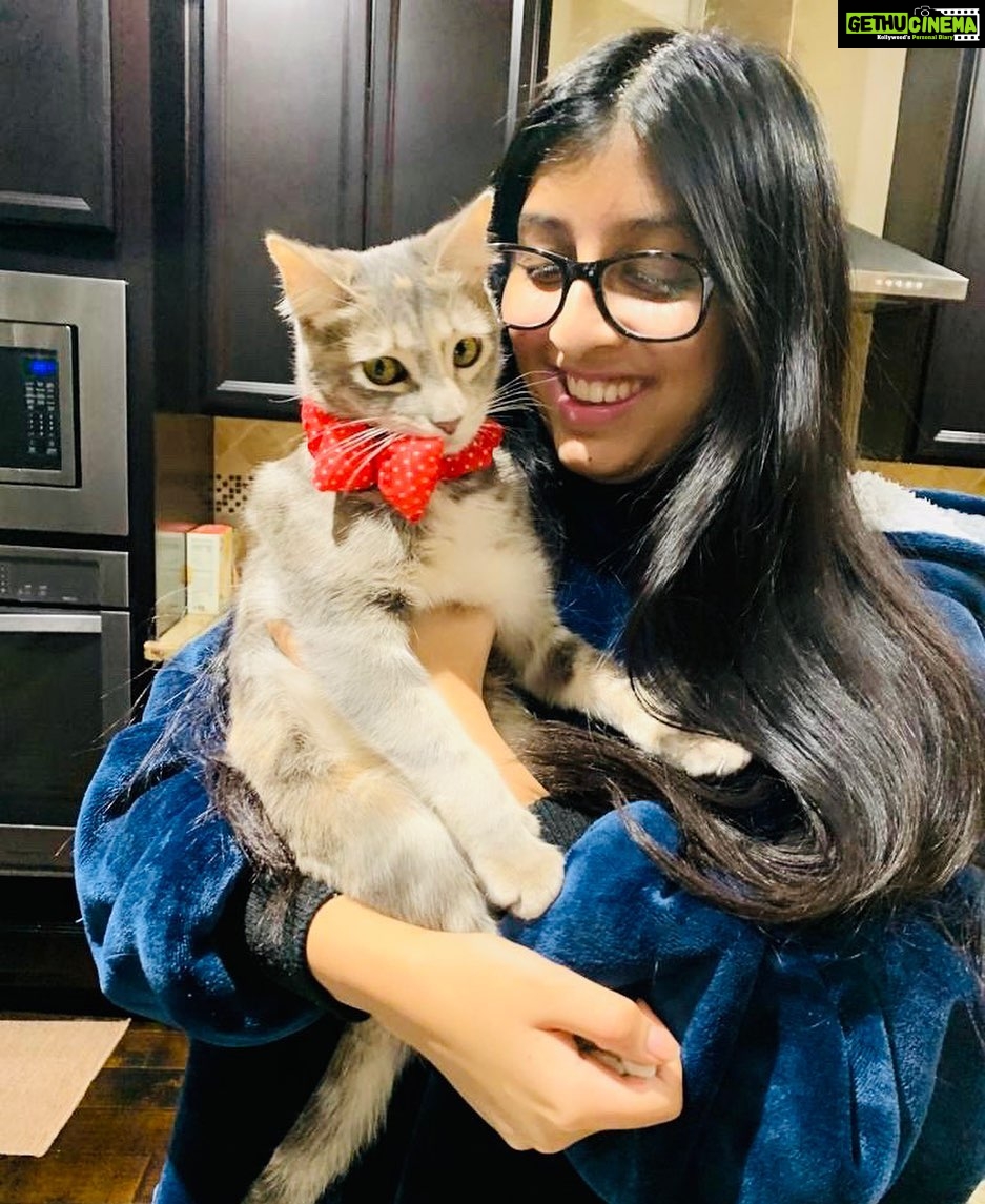 Suchitra Murali Instagram - Never a Cat person until this little one came to our life..🥰🥰🥰Ms Mia...!!!