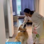 Suma Kanakala Instagram – Zorro tales 🐶

#sumakanakala #zorro #pet #anchorsuma #anchorsumakanakala #suma #petlove