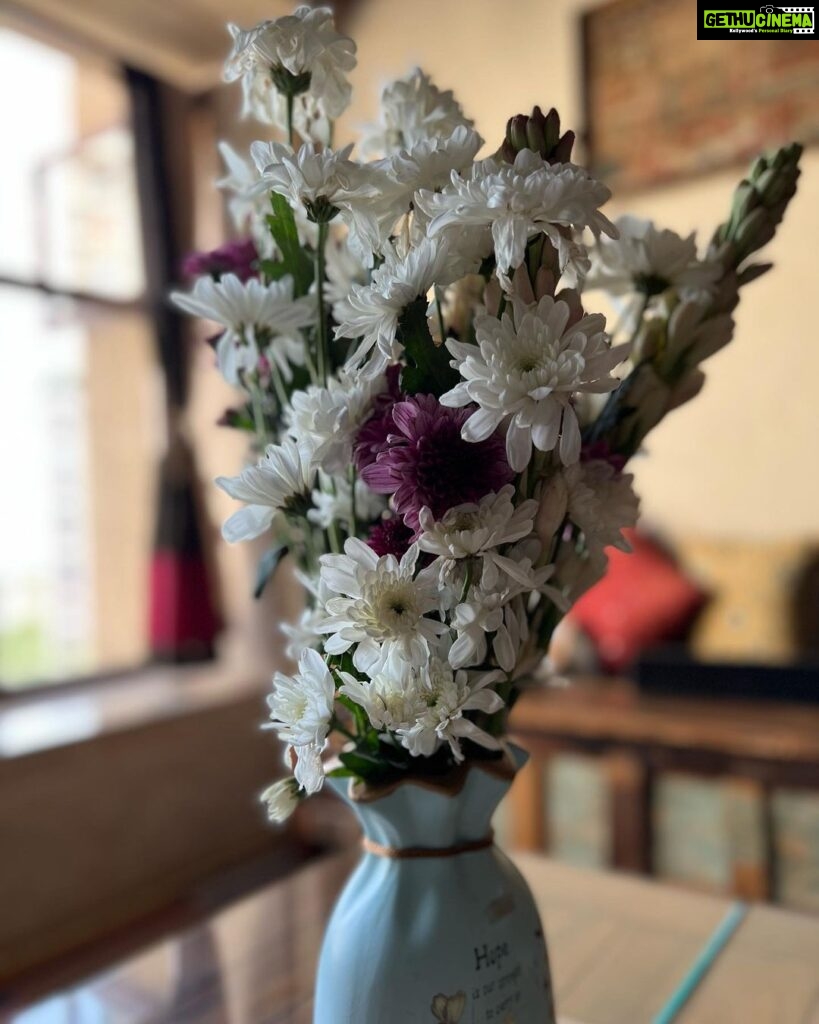 Swara Bhaskar Instagram - Hi @fahadzirarahmad ! I once told you I don’t like roses. One year ago you searched all of Bombay but didn’t find the elusive Nargis .. you brought these flowers instead.. I’d say they worked 😍🤗❤️ Look where your modest blooms brought us🤓💜 #notananniversarypost
