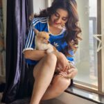 Swastika Dutta Instagram - Hey,dooo beee dooo bee dooo.. Cheeni 🐶🐾 @diariesofwhiskey 🐾🥰☀️⛅️ #moodlifting #wednesdayvibes #shootdiaries #inbetweenshoot #pawsitive #pawsitivevibes #pawlove