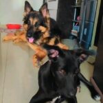 Tanushree Chatterjee Instagram - Hahah mela jaan Rambo Mogambo Jhumjhum choti wali jhumjhum