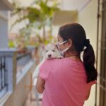 Tanya Ravichandran Instagram - How can you say no to this gift??? 😬Welcome home MILA ❤️ @itsleximila_official #husky #mila #siberianhusky