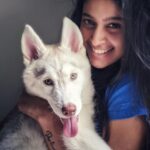 Tanya Ravichandran Instagram - “I woof you” 🐺 🐾 LEXI ❤️ #lexi #husky #huskypuppy #huskylove #huskylife #dogsofinstagram #dogs #dogstagram #dogsofinsta #dogslife #dogsofinstaworld #puppylove #puppy #puppiesofinstagram #puppys #dogoftheday #picoftheday #pictureoftheday