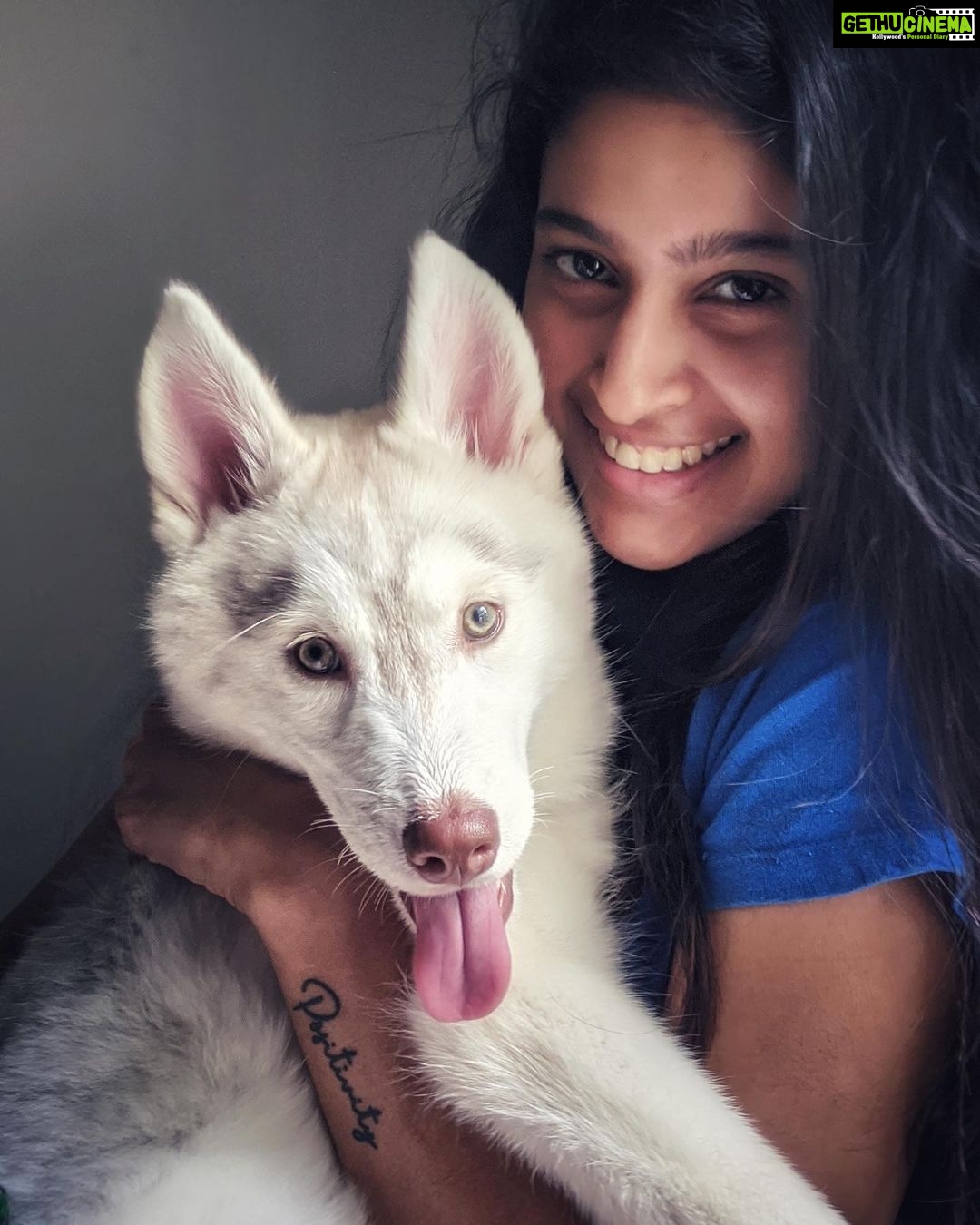 Tanya Ravichandran Instagram - “I woof you” 🐺 🐾 LEXI ❤️ #lexi #husky #huskypuppy #huskylove #huskylife #dogsofinstagram #dogs #dogstagram #dogsofinsta #dogslife #dogsofinstaworld #puppylove #puppy #puppiesofinstagram #puppys #dogoftheday #picoftheday #pictureoftheday