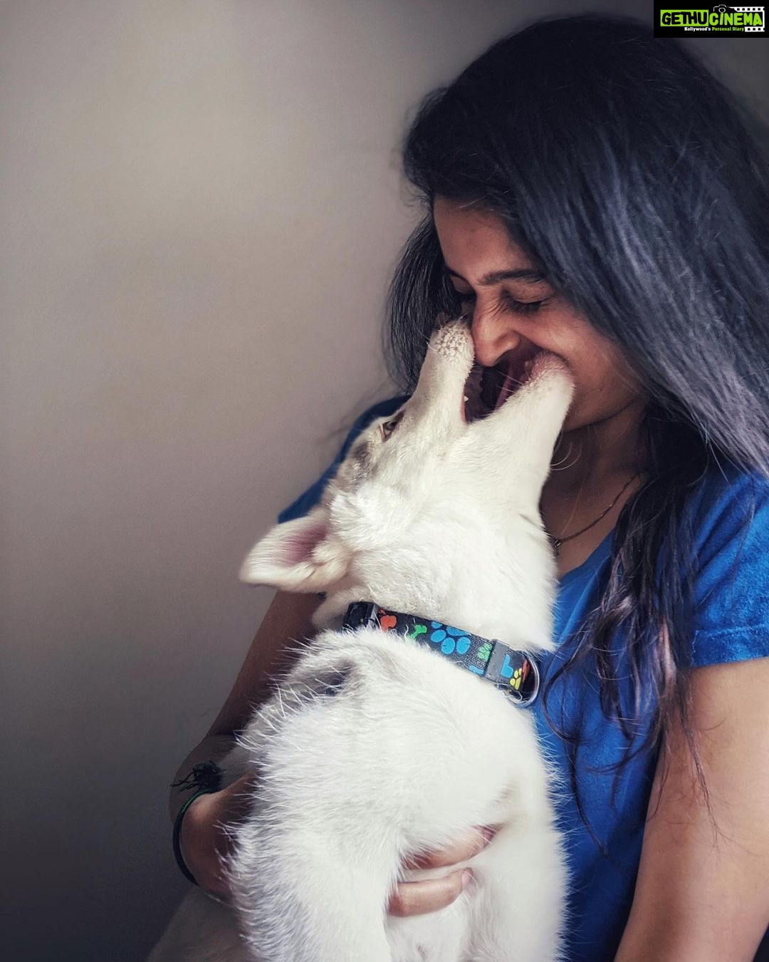 Tanya Ravichandran Instagram - “I woof you” 🐺 🐾 LEXI ❤️ #lexi #husky #huskypuppy #huskylove #huskylife #dogsofinstagram #dogs #dogstagram #dogsofinsta #dogslife #dogsofinstaworld #puppylove #puppy #puppiesofinstagram #puppys #dogoftheday #picoftheday #pictureoftheday
