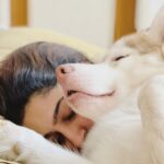 Tanya Ravichandran Instagram - Cuddle time with #lexi 🤗 @itsleximila_official #dogs #dogsofinstagram #dog #dogstagram #puppy #doglover #instadog #dogoftheday #doglovers #doglife #pets #love #puppylove #pet #puppies #cute #dogsofinsta #puppiesofinstagram #instagram #of #petsofinstagram #doggo #dogslife #animals #bhfyp #ilovemydog #doglove #petstagram #dogphotography