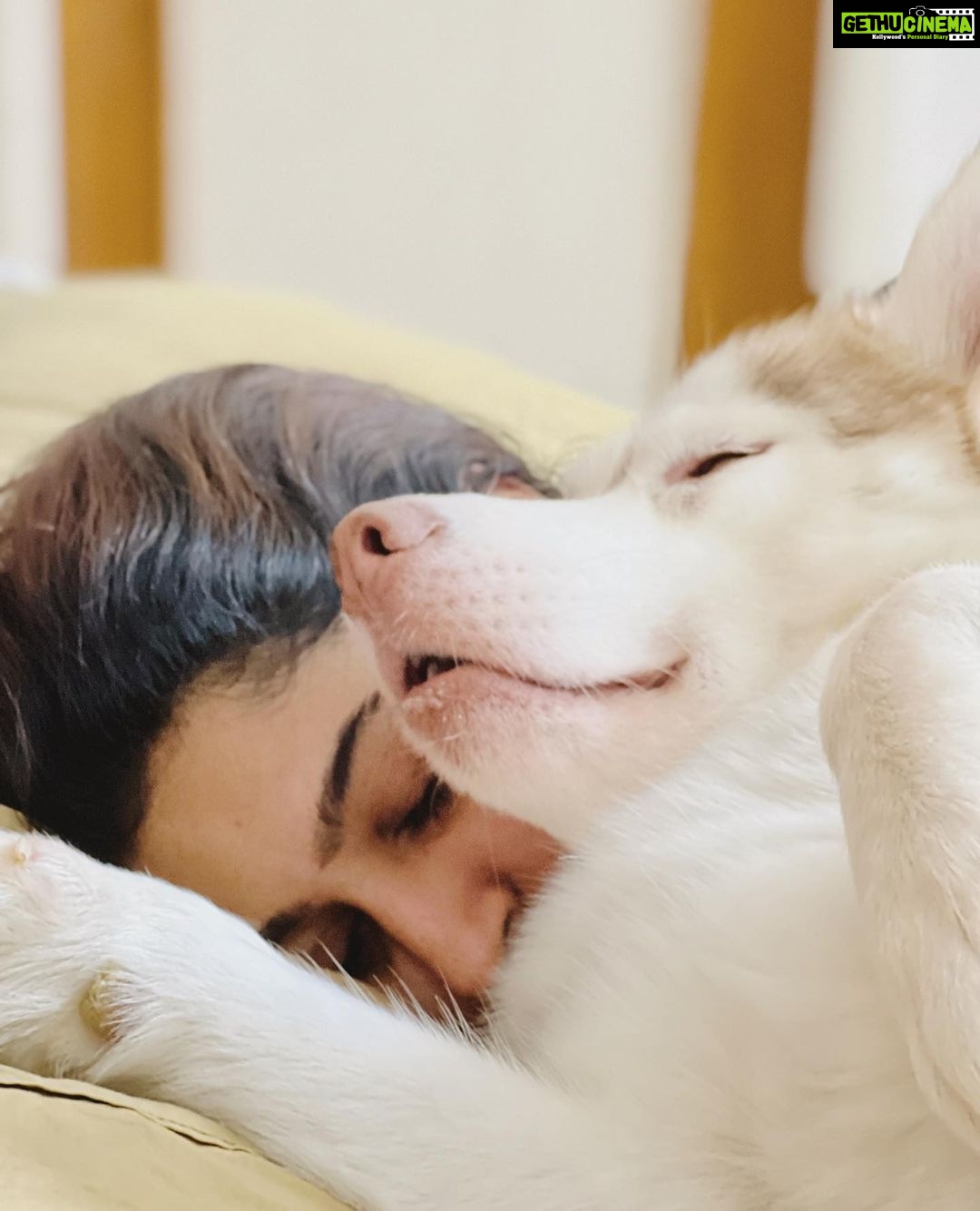 Tanya Ravichandran Instagram - Cuddle time with #lexi 🤗 @itsleximila_official #dogs #dogsofinstagram #dog #dogstagram #puppy #doglover #instadog #dogoftheday #doglovers #doglife #pets #love #puppylove #pet #puppies #cute #dogsofinsta #puppiesofinstagram #instagram #of #petsofinstagram #doggo #dogslife #animals #bhfyp #ilovemydog #doglove #petstagram #dogphotography