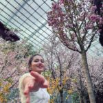 Tasnia Farin Instagram - Sakura maichiru Flower Dome, Gardens By the Bay, Singapore