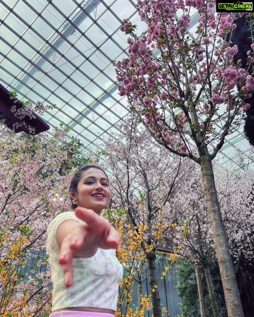 Tasnia Farin Instagram - Sakura maichiru Flower Dome, Gardens By the Bay, Singapore