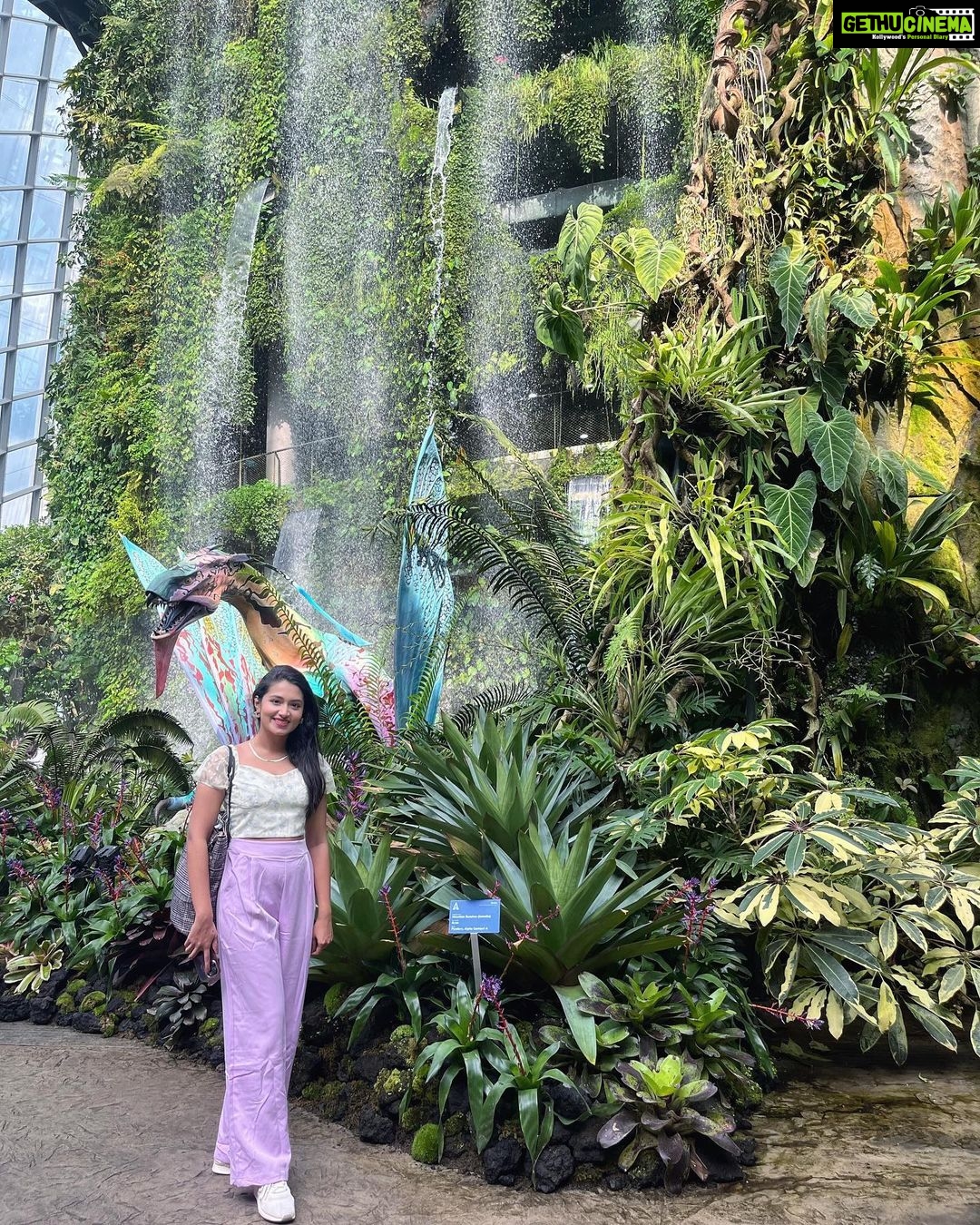 Tasnia Farin - 96.7K Likes - Few chosen ones from the pile of photos