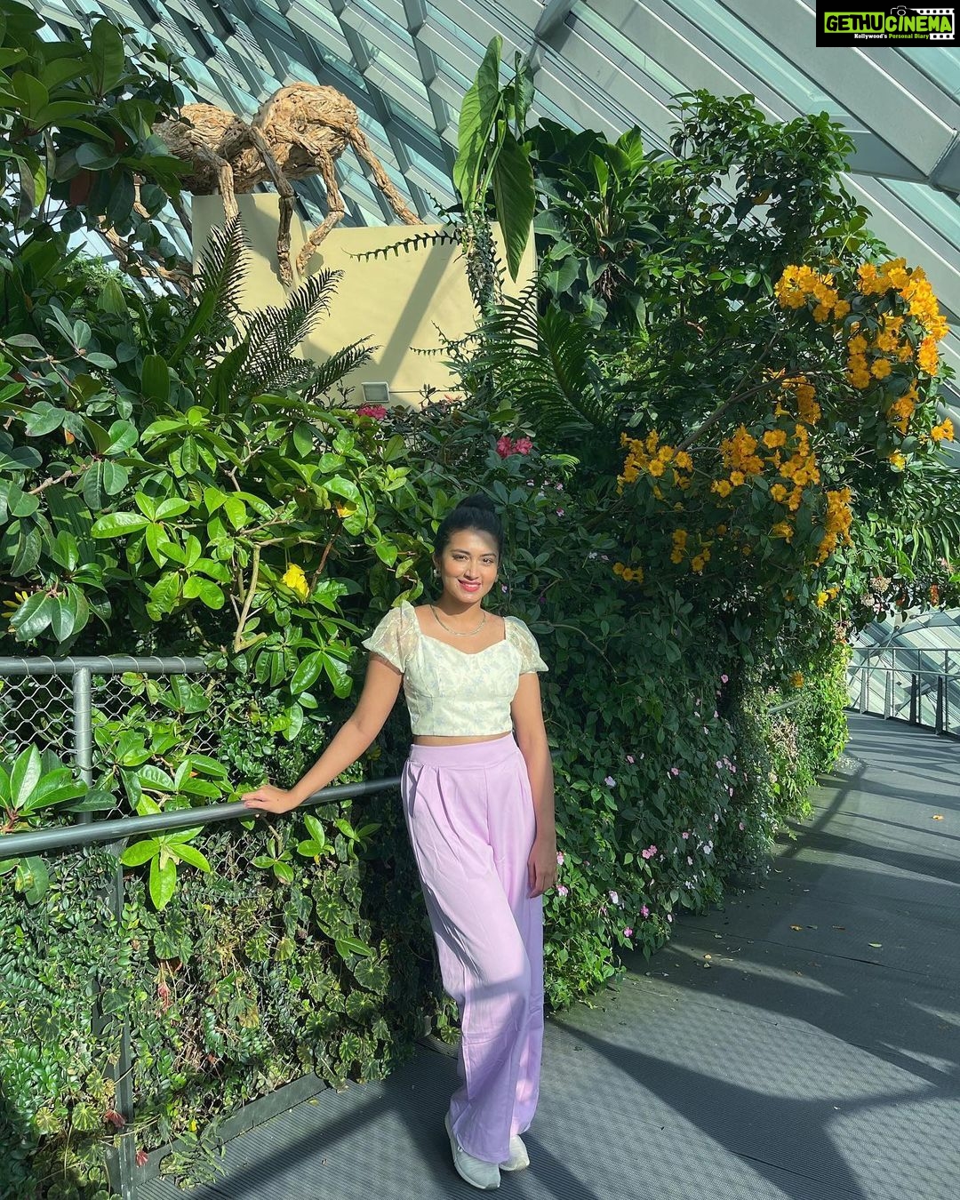 Tasnia Farin - 96.7K Likes - Few chosen ones from the pile of photos