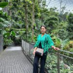 Tasnia Farin Instagram - Best airport ever Jewel Changi Airport