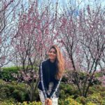 Tasnia Farin Instagram – “I met the girl under full-bloomed cherry blooms, and my fate has begun to change” 
Kousei Arima from Your Lie in April Auburn Botanic Gardens