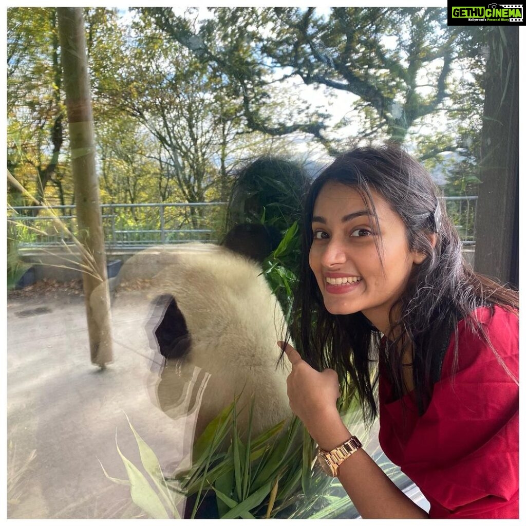 Tasnia Farin Instagram - A fun day out at the zoo Met a Giant Panda 🐼 for the first time (only his back though) And those Penguins were the cutest creatures 🐧 Edinburgh Zoo