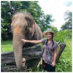 Tasnia Farin Instagram - Her name is Mason. She is 67 years old. She loves to eat. But only the yellow bananas. She would always follow you around once she gets to know that you have her food. She is very well behaved but not a hugger. She was rescued at her mid age and finally living the life she deserved. ❤️ Kanjana elephant sanctuary
