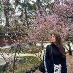 Tasnia Farin Instagram – “I met the girl under full-bloomed cherry blooms, and my fate has begun to change” 
Kousei Arima from Your Lie in April Auburn Botanic Gardens