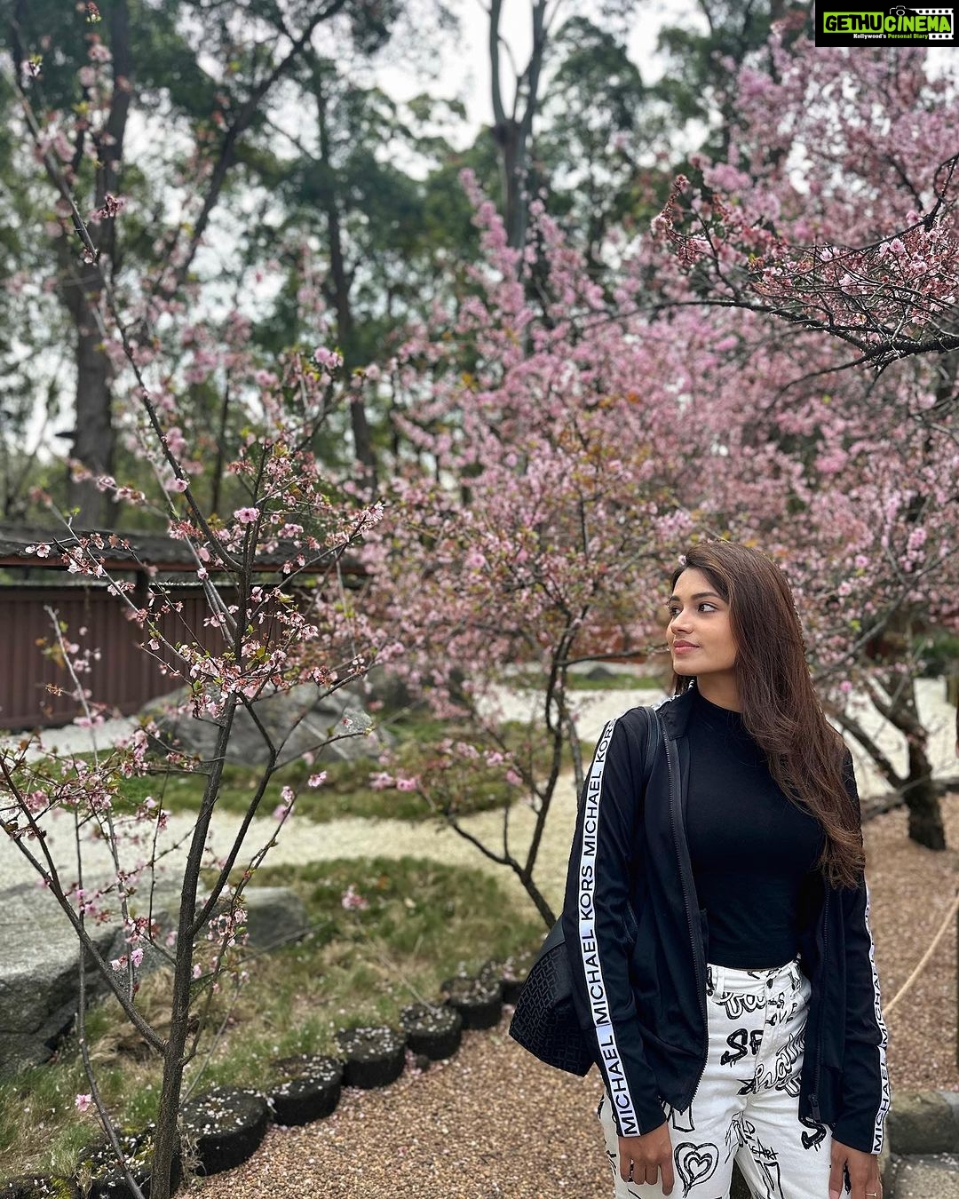 Tasnia Farin - 86.5K Likes - "I met the girl under full-bloomed cherry blooms, and my fate has begun to change"
Kousei Arima from Your Lie in April