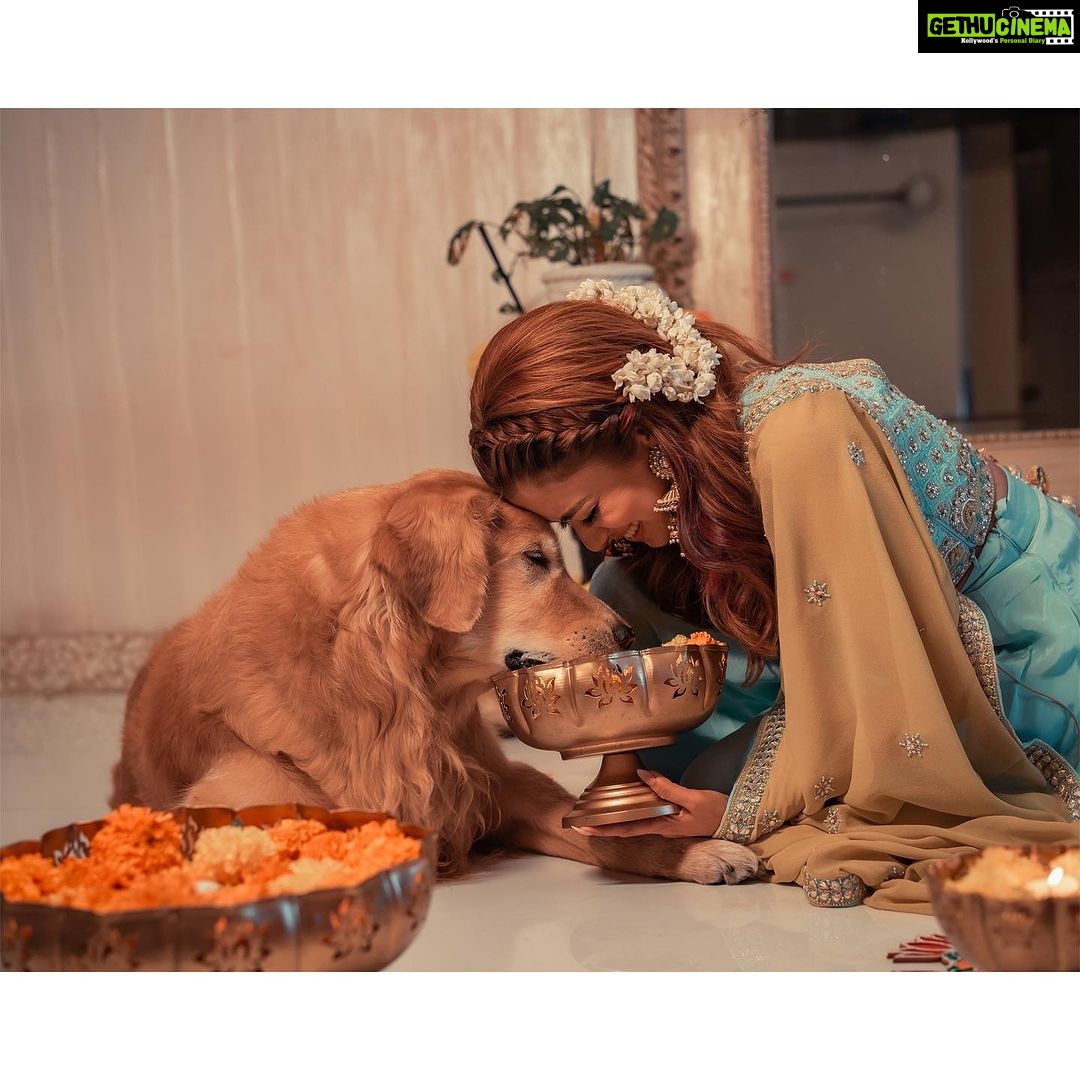 Tina Datta Instagram - This Diwali with my beloved Bruno!! The times of love and making sweet memories, while not bursting crackers for sure… Sending lots of love and good wishes to you all!! HAPPYYYY DIWALI 🪔❤️ 📸: @areesz . . . #diwali #happydiwali #diwalivibes #tinadatta