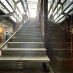 Tisca Chopra Instagram - Stairs to nowhere, an angry hippo and other images .. 📸 @rafey.mahmood @satyajit810 #recce #location #locationscout #filmmaking #filmmaker #director #visual
