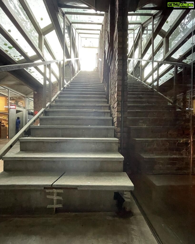 Tisca Chopra Instagram - Stairs to nowhere, an angry hippo and other images .. 📸 @rafey.mahmood @satyajit810 #recce #location #locationscout #filmmaking #filmmaker #director #visual