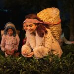 Tisca Chopra Instagram – I travelled to the foothills of the Himalayas to experience the magical mystical Makaibari Tea Estate. Walking through the Lush green gardens, plucking tea leaves in the moonlight and experiencing the refreshing taste of Honest Tea
@honestteaindia an iced green tea with organic green tea sourced from Makaibari 
Try it now!

#HonestTea