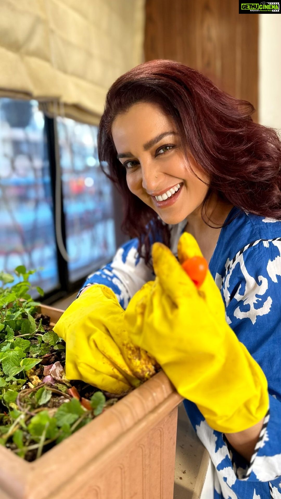 Tisca Chopra Instagram - These women in rural India are helping prevent 60,000 tonnes of food from going to waste, annually ๐พ Isnโt it amazing how small efforts can have a huge impact! โ
Indians are building climate solutions every day and Planet India is bringing their stories into the spotlight ๐๐ผ . If you have a solution to share, tell your story using #PlanetIndia and get featured with some amazing innovators and creators. You can also download these climate and nature visuals from ๐ openplanet.org and create your own stories. #India #ClimateSolutions #India #Jugaad #naturesolutions