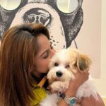 Trina Saha Instagram - Grooming day of Roxy ♥️♥️♥️♥️ Thank u @shalmichakraborty @krosspaws_official 🐶 . . #trinsi #roxy #petlover #instareels #instalike #instalove #instamood #instamoment #feelitreelit