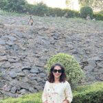 Urmila Matondkar Instagram – #monkeytown 🙊

When money gang decides to photobomb 🙈❤️