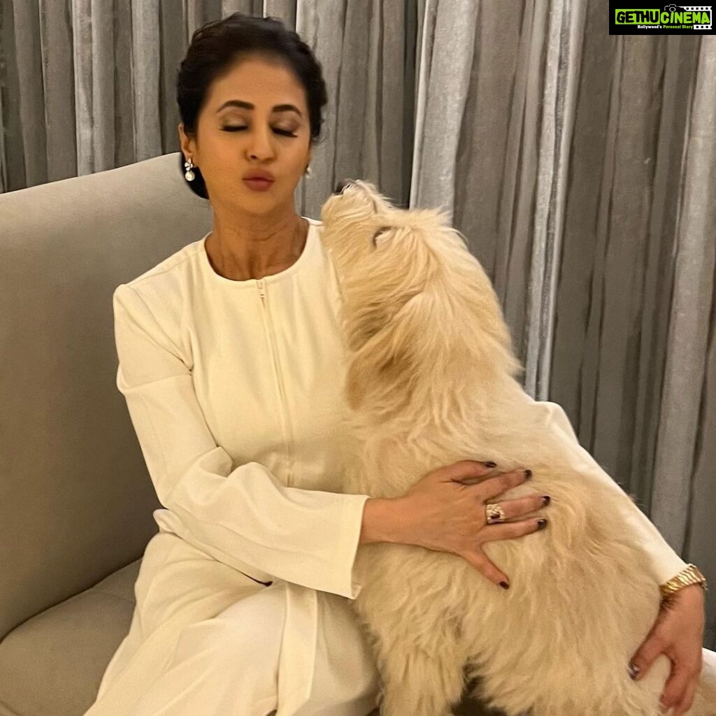 Urmila Matondkar Instagram - How do you know that you are looking your Best 🤔🤔 When it’s approved by your fur babies 😇🐶❤️🥰😍 #romeo #thor #furbabies #angels #pet #love