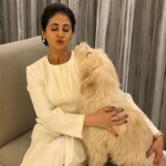 Urmila Matondkar Instagram – How do you know that you are looking your Best 🤔🤔
When it’s approved by your fur babies 😇🐶❤️🥰😍

#romeo #thor #furbabies #angels #pet #love