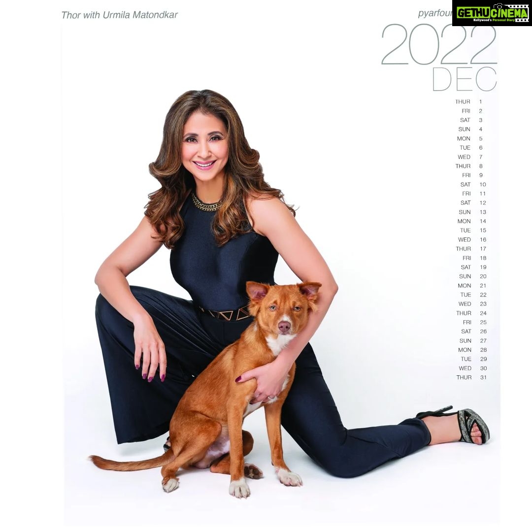 Urmila Matondkar Instagram - December Thor with his mom @urmilamatondkarofficial First Calendar of PYAR by @vikram_bawa 🐶🐱 Calendar design, Shoot planned & Logo by @abhijitdas4575 Studio @papaya.studios Assist by @arnab_kar @aakashsinharoy @bhushan_punse Thank you so so much Thor & @urmilamatondkarofficial mam for joining us ❤️ 🐾🐾