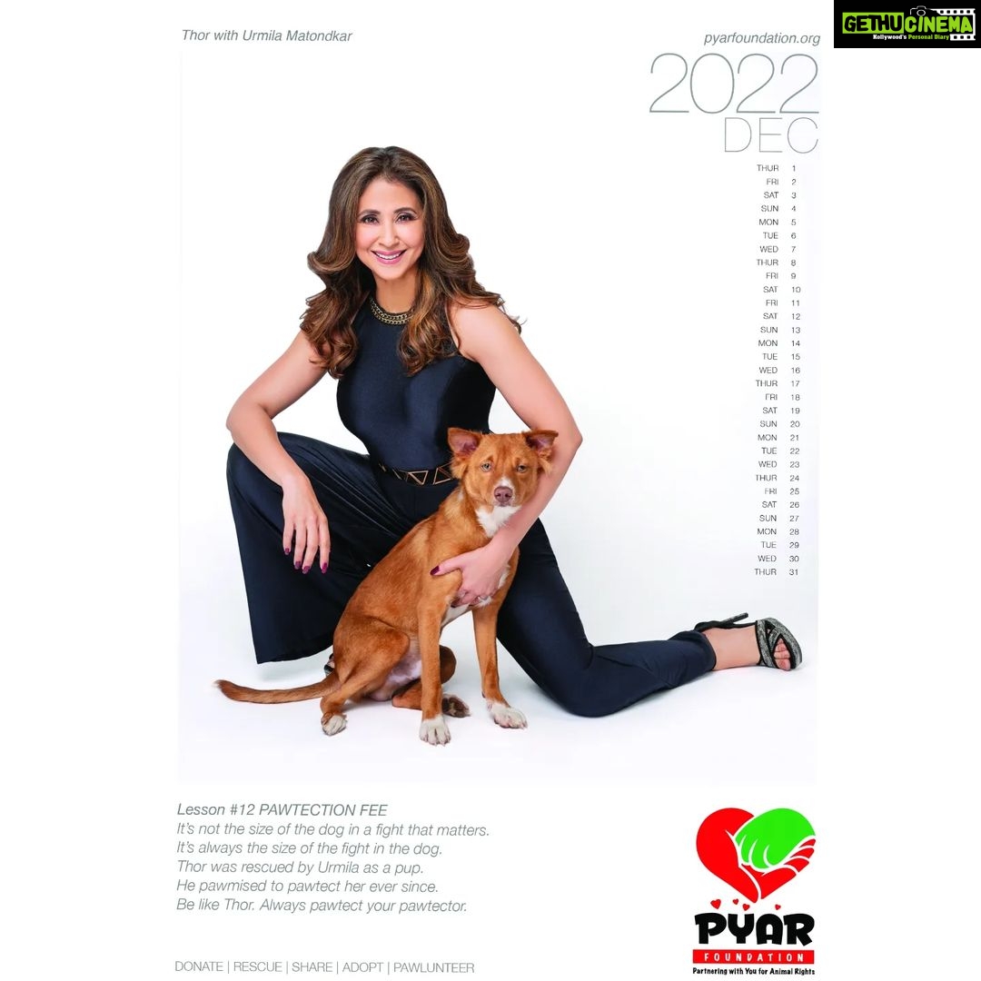 Urmila Matondkar Instagram - December Thor with his mom @urmilamatondkarofficial First Calendar of PYAR by @vikram_bawa 🐶🐱 Calendar design, Shoot planned & Logo by @abhijitdas4575 Studio @papaya.studios Assist by @arnab_kar @aakashsinharoy @bhushan_punse Thank you so so much Thor & @urmilamatondkarofficial mam for joining us ❤️ 🐾🐾