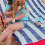 Urmila Matondkar Instagram - Happy Birthday my dearest Thor 🐶 It’s two years since our dear darling came into our lives from the streets of Mumbai!! Scared to death as he had witnessed his mamma n brother die under a car 🥲 and slowly with all the love n great bond today he is the naughtiest of them all 🤩 #adaptdontshop #indie #indiedogs #dogs #unconditionallove #bond #love #blessing #thor 🐶❤️💥
