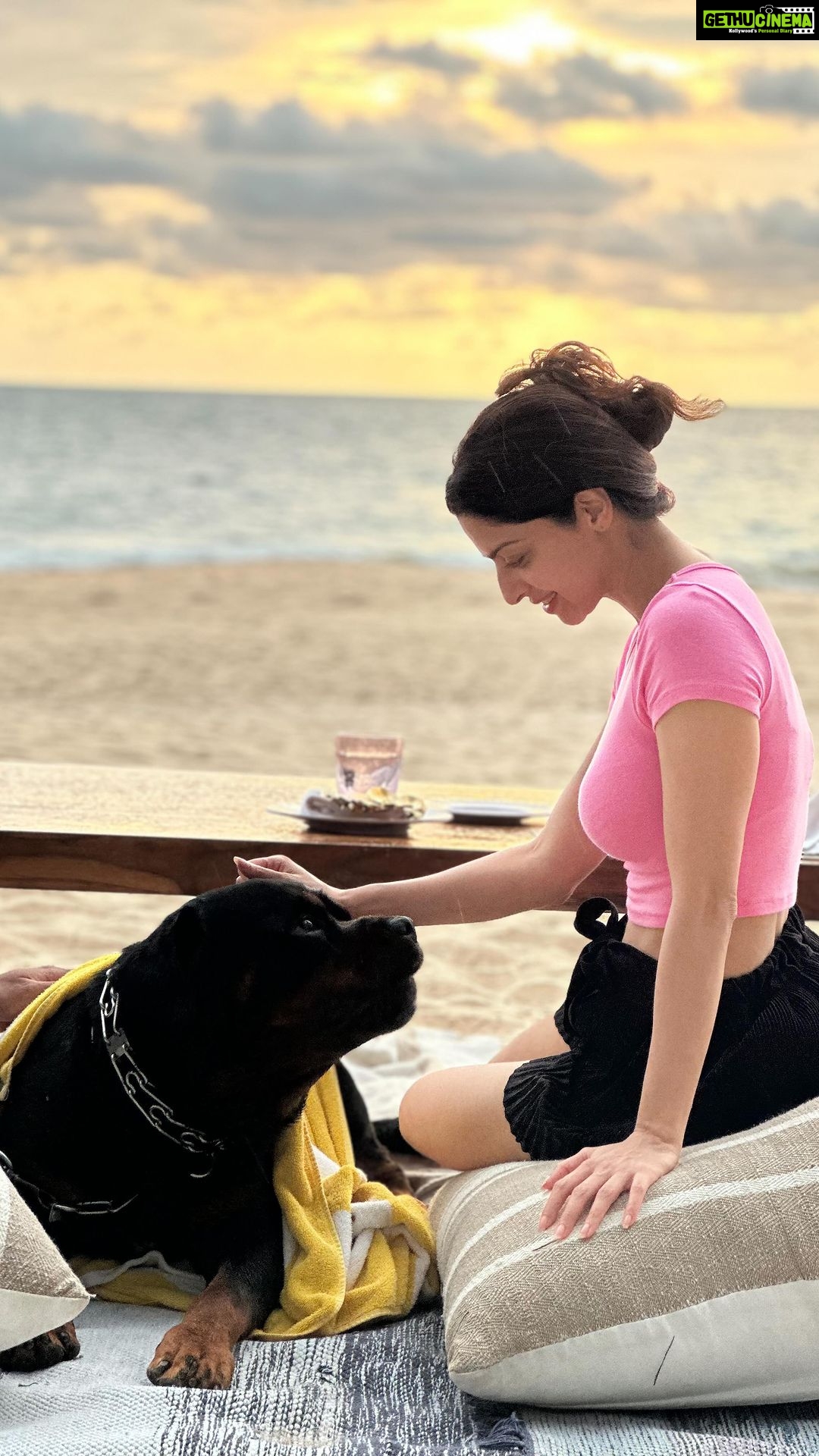 Vedhika Instagram - Me and Mine Making Memories 🐶 @oscarkumar_rottweilier #dogs #dogstagram #travelgram #doglover #rottweiler #rottie