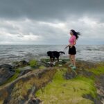 Vedhika Instagram – Postcard from the Arabian Sea 🌊 
Love, @oscarkumar_rottweilier
Oscaar’s 1st Holiday 🐶