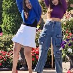 Vidhya Mohan Instagram - #reels #reelsinstagram #reelsindia #usa🇺🇸 #traveldiaries