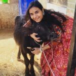 Vimmy Bhatt Instagram - Tranquility ❤️