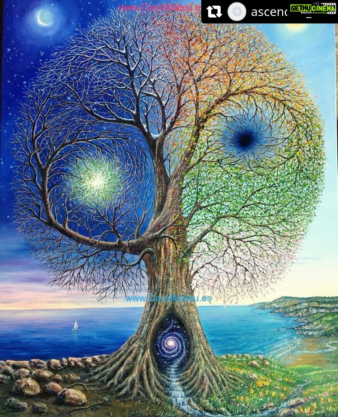 Vimmy Bhatt Instagram - #Repost @ascended_self with @let.repost • • • • • • One bows in reverence, when more layers of the truth begin to reveal, when almost magical half-miracle type "stuff" begins to pop from the corner of the fabric of reality ( there's only so many times the ego can deny until the it registers - fear + excitement arise ) and so one knows better by now- one begins to pray. When Divine interacts, one must PRAY. Because, the prayer isn't a begging, a demand of a desired outcome- NO. It is always the vibration of companionship with a higher force of benevolence and unconditional love and the understanding that one is being held. In prayer, I Am held by that which I AM as I AM that. If this lands, nothing else is needed. This is the ultimate cure and liberation, in every sense. Once in a blue moon, on rare occasions, a clear precise command shows itself on behalf of the Divine Will. Loud and Clear, it says -- "R I S E, take your power back!!!" And so one says- "I rise and my power is restored." Bathe in this for the next 72 hours straight, day and night, sleeping, awake, working, resting, doing the usual hooman thing- one obeys the command as it is delivered- a done deed by the sheer entry into the awareness. As I touch it, it's delivered. Then, note the monumental shifts that occur beyond. Because, this is Huge #111 ■ Godspeed @ascended_self . . . Art @david_mateu_art . .