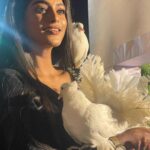 Vinusha Devi Instagram - Vellai Pura 🕊 #vinushadevi #kannamma #barathikannamma #birdlover #vellaipura