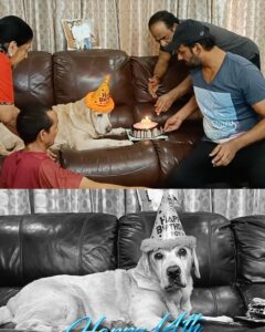 Vishal Instagram - Happy 14th Birthday to my Son, Love U to the Moon & Back, GB #HappyBirthdayAugie #HBDAugie