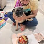 Vishnu Instagram – Happy birthday my milo boy 🥰 long live my boy ❤️
.
.
.
#miloboy #pug #doglover #lifeline #birthday #vvians #vishnuvijayfans #vishnuvijay_offl #vishnuvijay