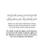 Zaira Wasim Instagram - Oh Allah rectify the affairs of the Muslims in #Palestine Oh Allah rectify the affairs of the Muslims in Palestine and in every place! Ya Rab aid and strengthen the oppressed 💔