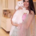Aahana Kumra Instagram - He’s truly the love of my life 😻 and meri aakhon ka Tara ⭐️ who hates being cuddled and also scratches when I make him pose in front of the camera! But who cares!? I’ve learnt how to live with this ek tarfa pyaar 😂🥳😘😻🐾 #mushulove #catparent . . . . #cat #catsofinstagram #catlover #catlife #instacat #mushukumra #mushuandaahana #aahanakumra #lehenga #indianoutfit #lehengalove Mumbai - मुंबई