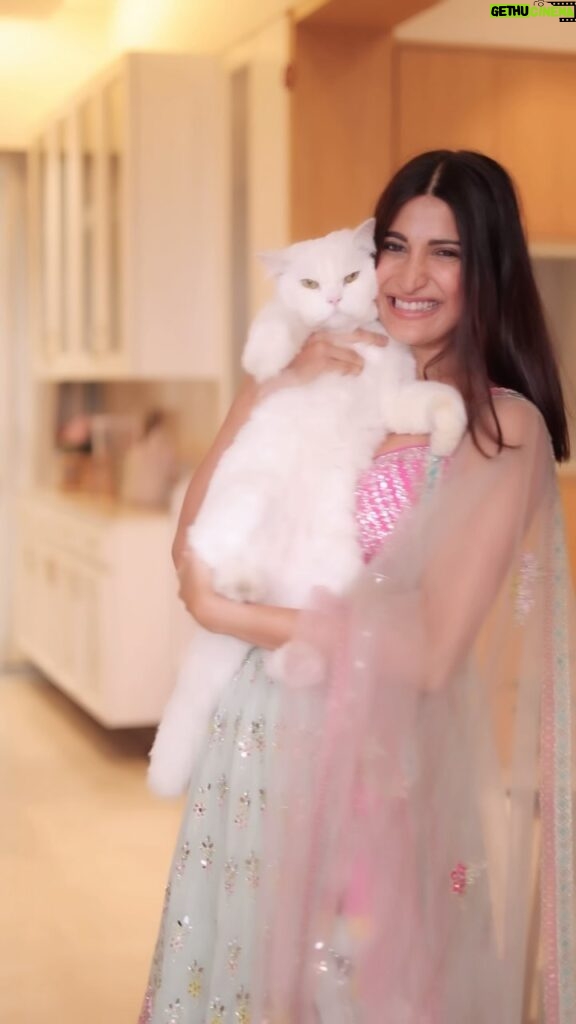 Aahana Kumra Instagram - He’s truly the love of my life 😻 and meri aakhon ka Tara ⭐️ who hates being cuddled and also scratches when I make him pose in front of the camera! But who cares!? I’ve learnt how to live with this ek tarfa pyaar 😂🥳😘😻🐾 #mushulove #catparent . . . . #cat #catsofinstagram #catlover #catlife #instacat #mushukumra #mushuandaahana #aahanakumra #lehenga #indianoutfit #lehengalove Mumbai - मुंबई